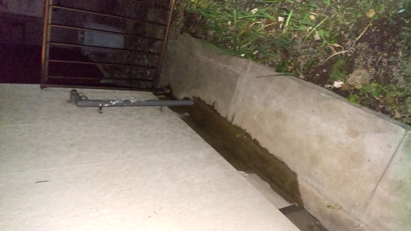 やはり外壁も濡れてました