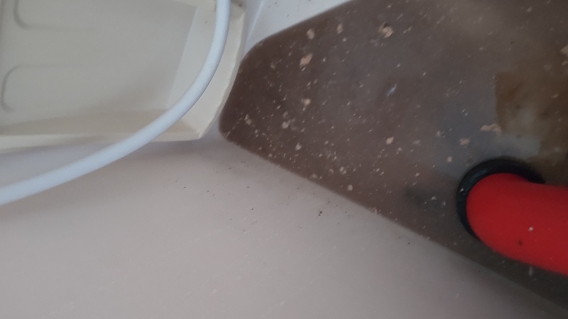 専用ポンプと薬品を使用し解消！原因は排水の下手で合流している台所の油の堆積でした‼️